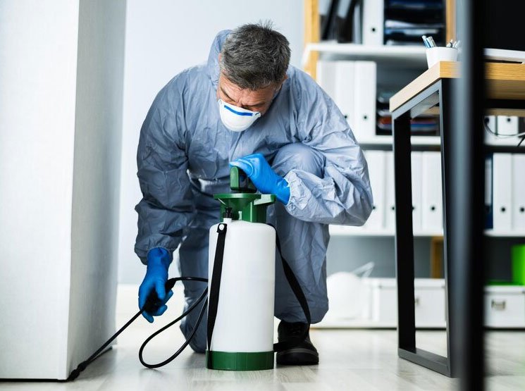 Servicios integrales de control de plagas y fumigación profesional para hogares e industrias en España San Vicente de Alcántara (Badajoz)
